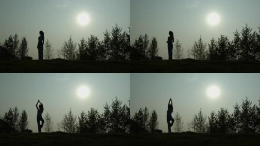 坚持,才是瑜伽的喜悦