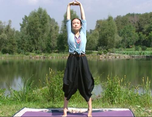 怎么学习瑜伽比较好?