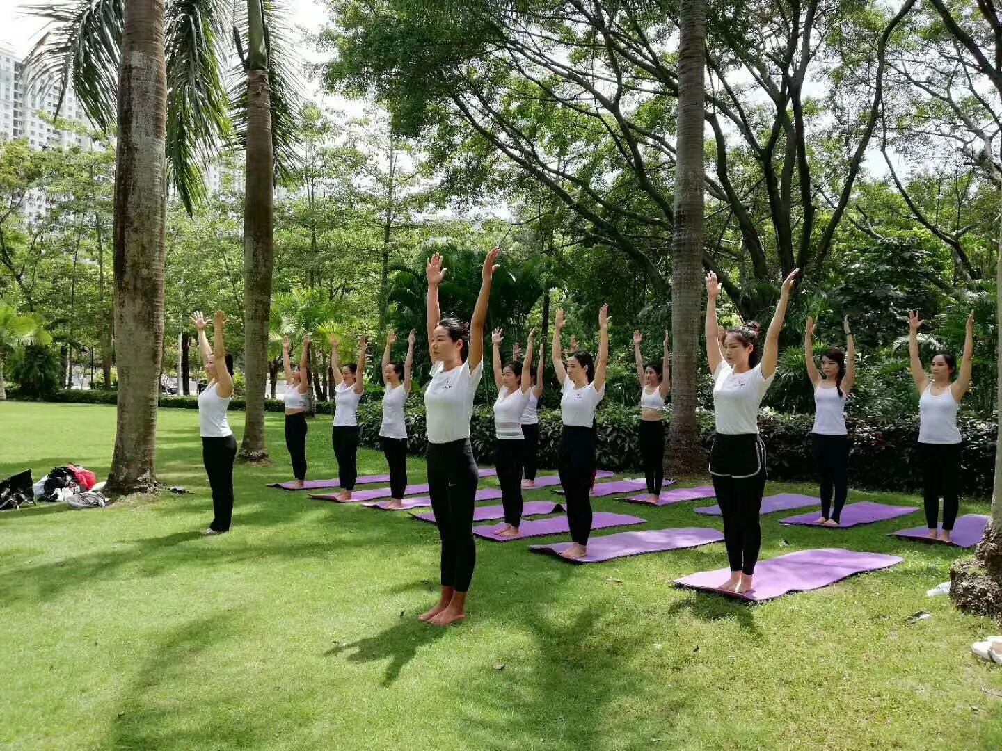 如何考瑜伽教练证?