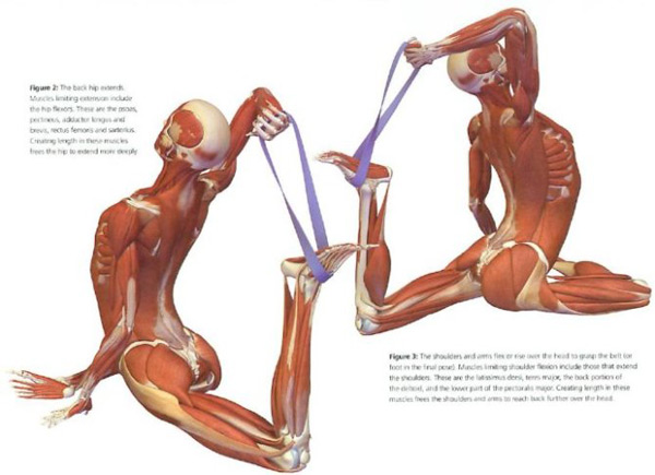 哈他瑜伽体式图片，你练错了吗？