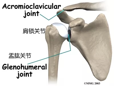 办公室瑜伽调理肩周炎是否有效?