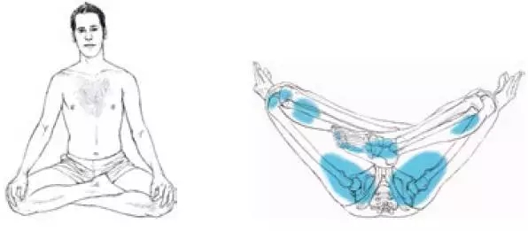 瑜伽的基本坐姿图，你一定需要