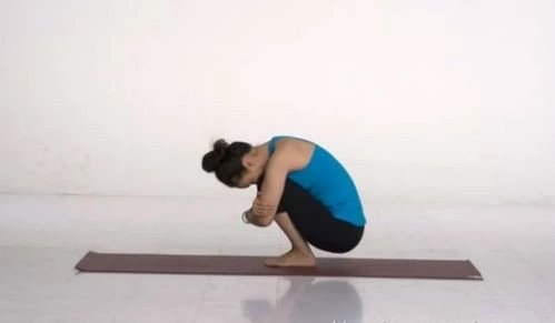 调理健身瑜伽的动作