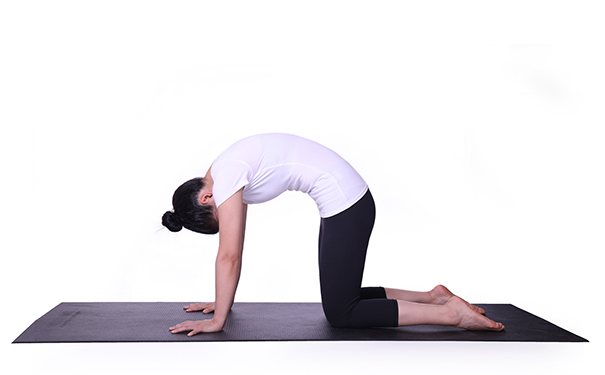 瑜伽养生有什么功效？