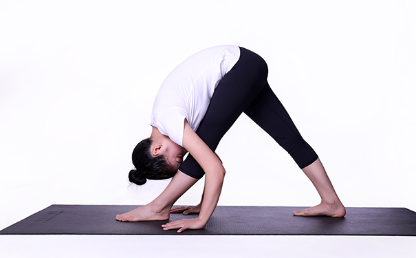 瑜伽养生大智慧