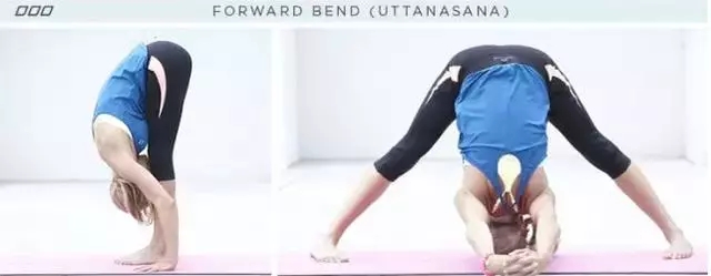 舒缓流瑜伽，新手千万不要错过