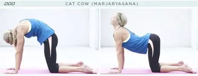 舒缓流瑜伽，新手千万不要错过