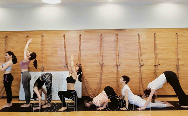 智瑜伽主要特点