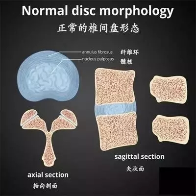 练瑜伽能长高吗？有什么原理呢？