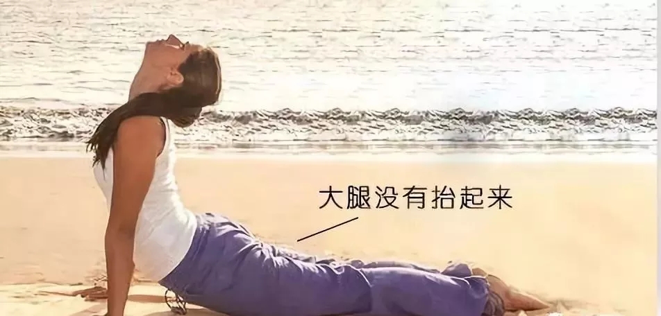 上犬式瑜珈动作要领