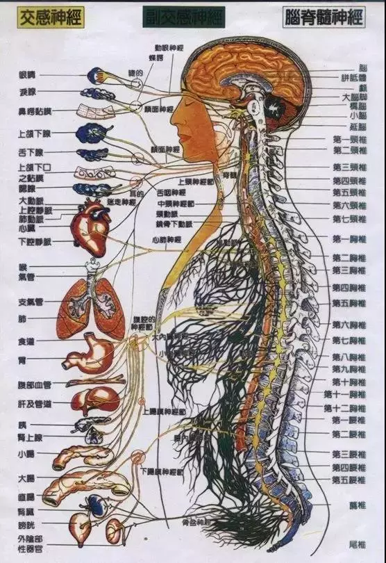 深圳瑜伽理疗工作室那家好点？