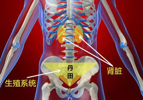 练瑜伽与生理期的关系，你知道这些吗？