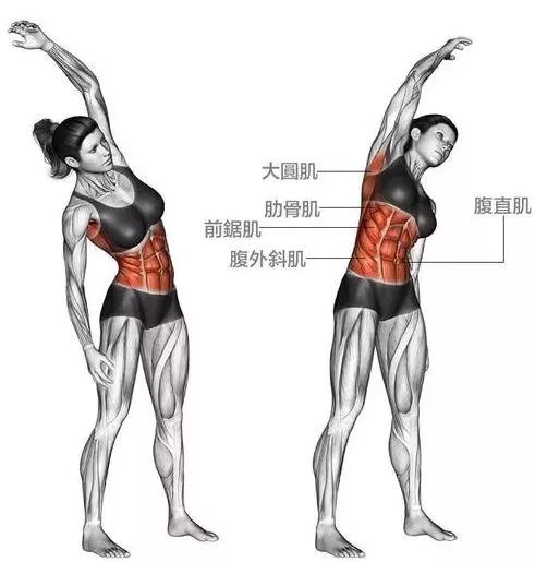 静态伸展瑜伽怎么做？