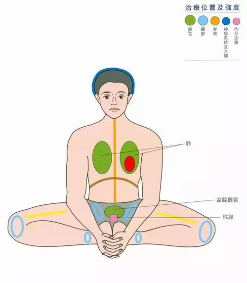 瑜伽图解——蝴蝶式，清理你的骨盆附近