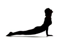 怎么成为瑜伽教练？有一个证书就行了吗？