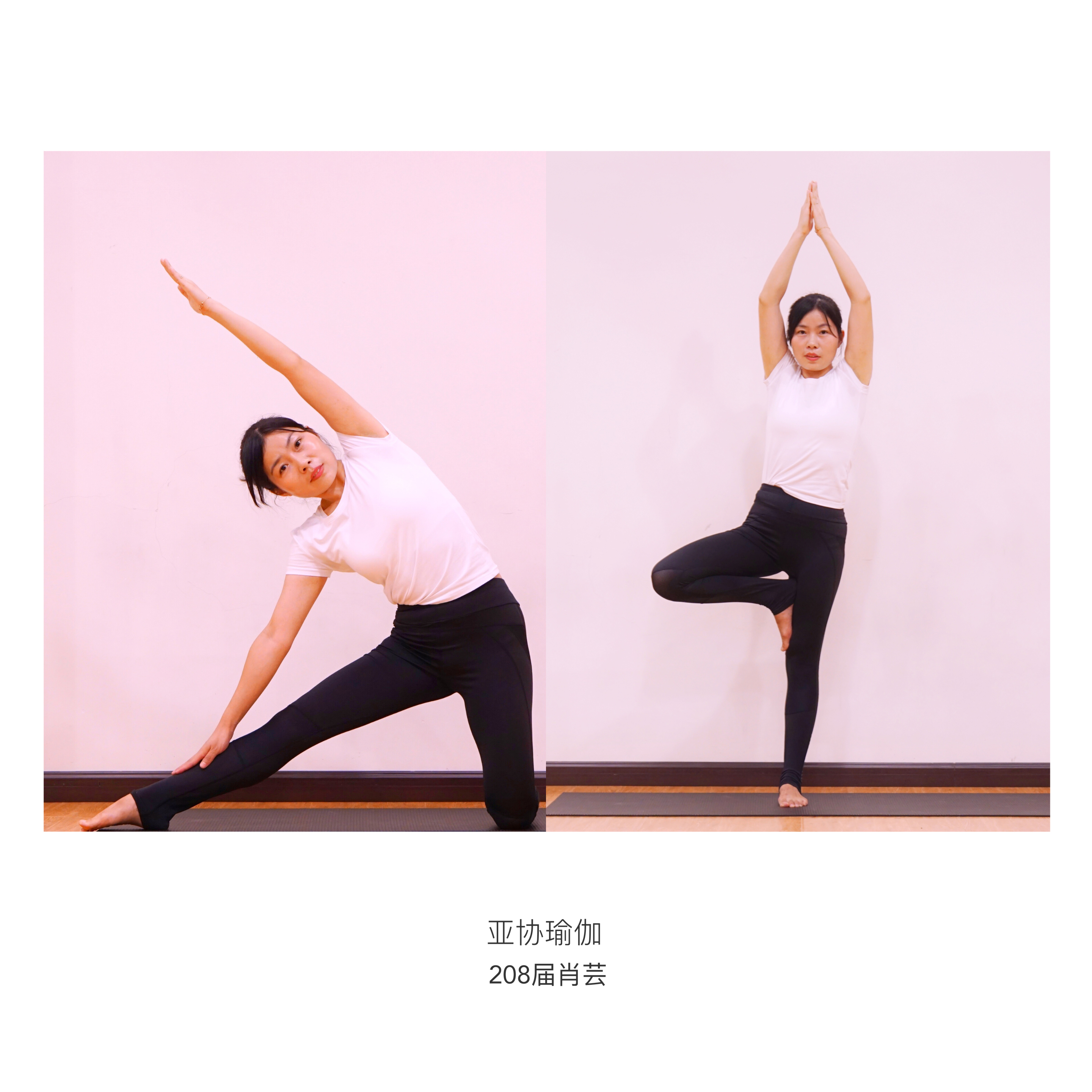 中国好的瑜伽学校在哪里?