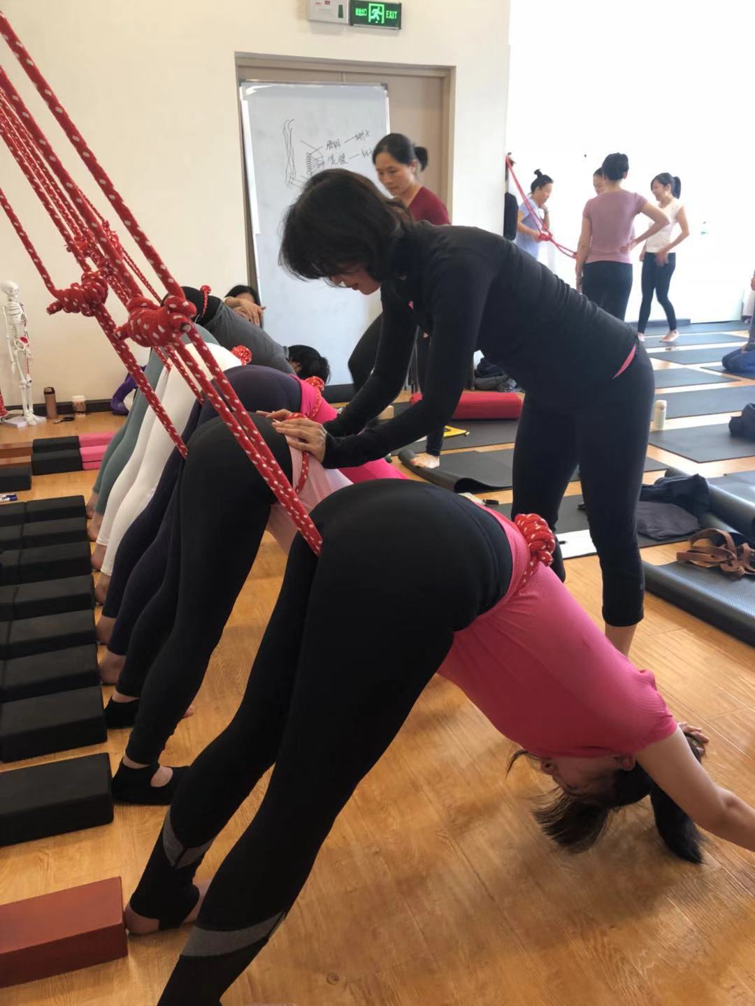 深圳哈他培训班在哪报名？