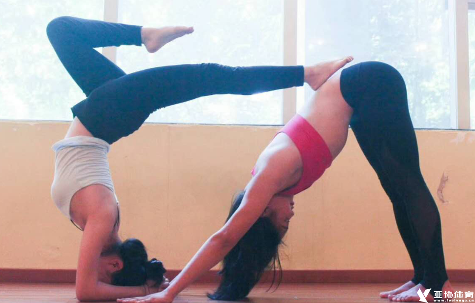 哈他瑜伽好在哪？为什么大家都练习它