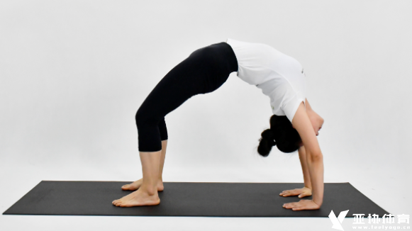 年龄大也能当瑜伽教练吗？