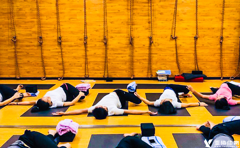 清晨瑜伽怎么做？你动作做对了吗？